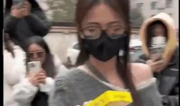娱乐51吃瓜爆料,吃瓜爆料背后的真相与内幕