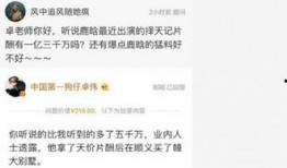 卓伟最新爆料焦俊艳,神秘恋情引关注