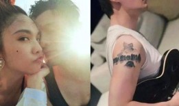 杨丞琳刺青在线观看,揭秘明星背后的故事与艺术
