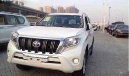 新款霸道爆料视频下载大全,爆款视频下载大全一览无余