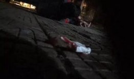 内鬼爆料散兵旅行者视频,散兵旅行者视频背后的惊人真相