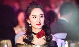 明星娱乐圈很多爆料,揭秘明星背后的故事与真相