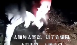 缅北视频爆料群,揭开神秘面纱的背后真相