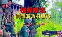 缅北视频爆料群,揭开神秘面纱的背后真相