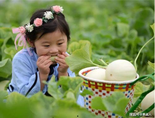 娱乐吃瓜酱农村小名